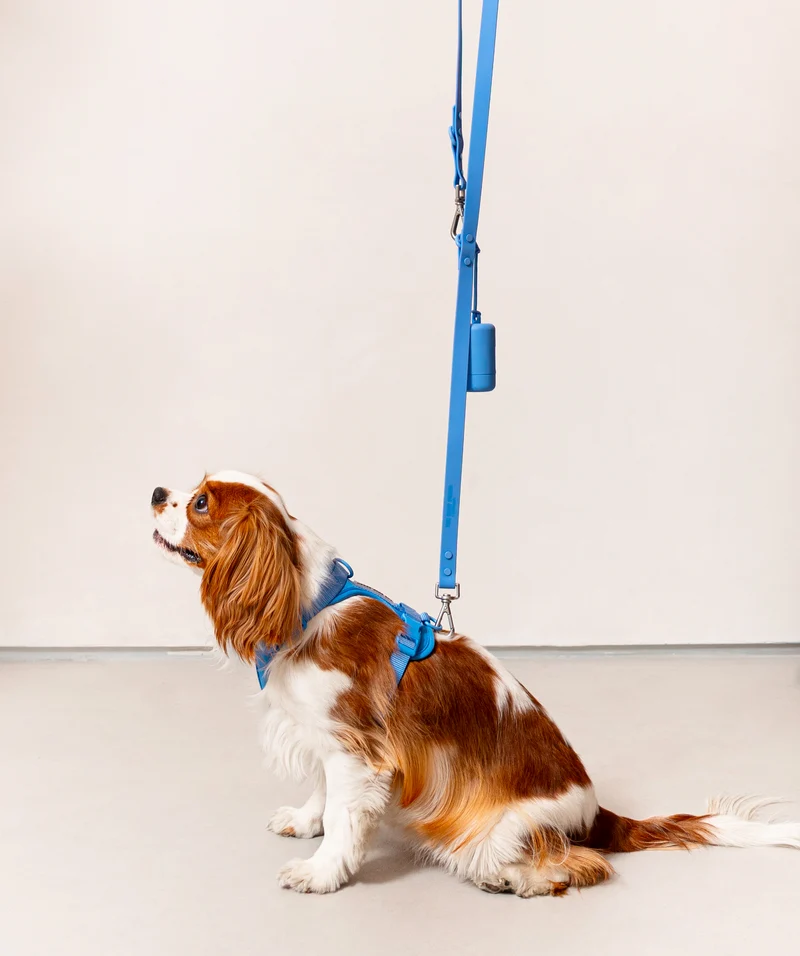 Smart Dog Leash - Blue