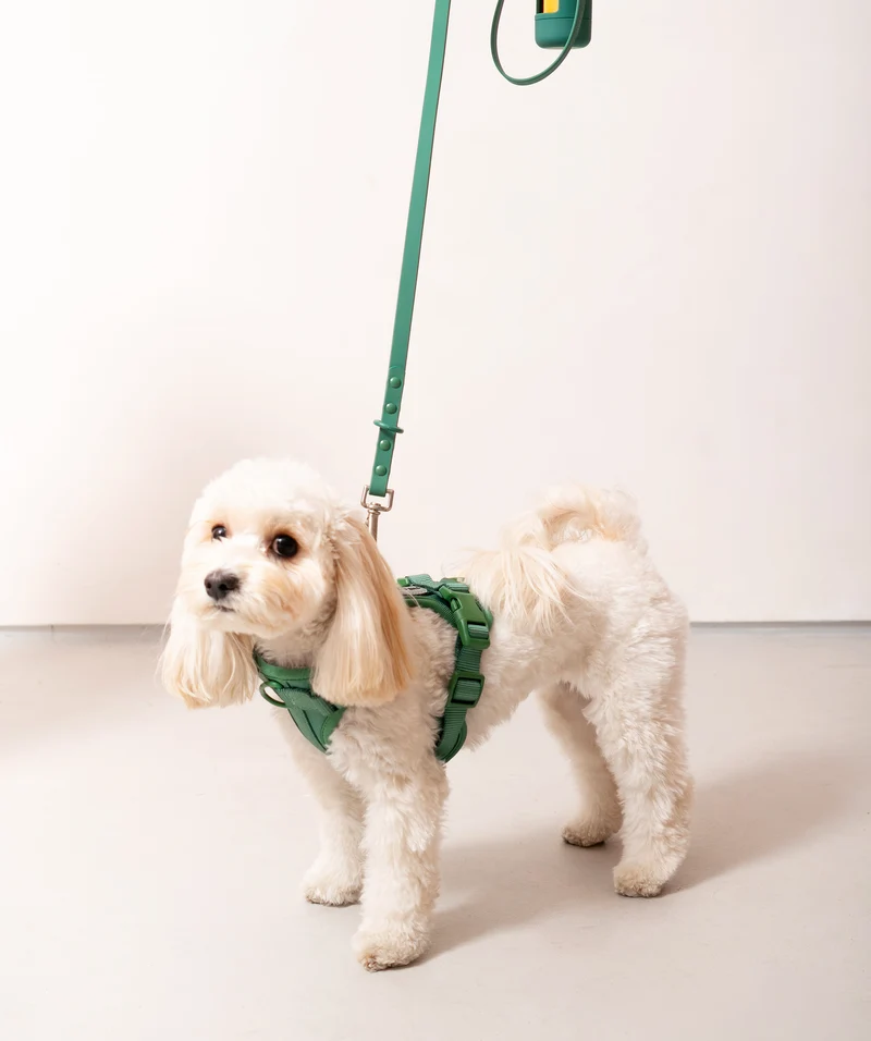 Smart Dog Leash - Green