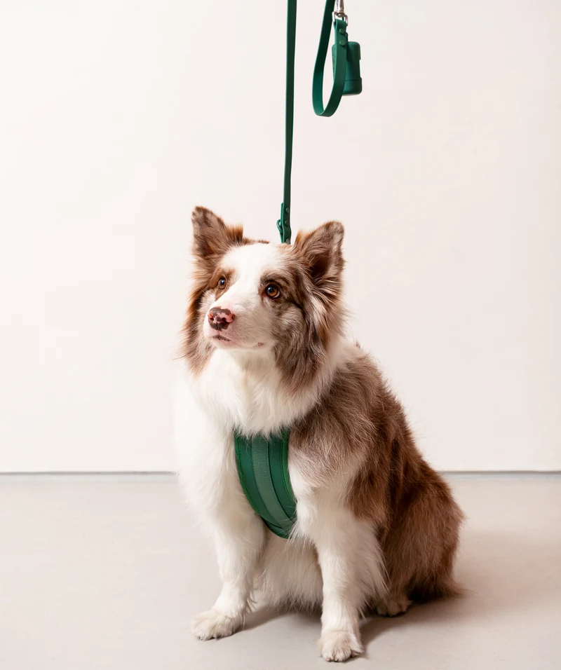Smart Dog Leash - Green