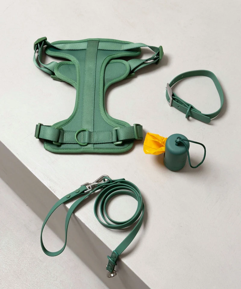 Smart Dog Leash - Green