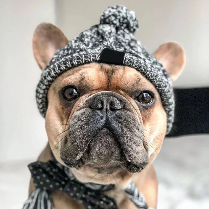 Gestrickte Hundemütze