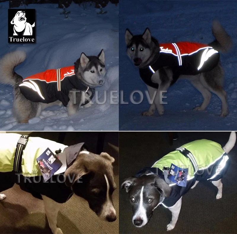 Hundemantel "NYLON"
