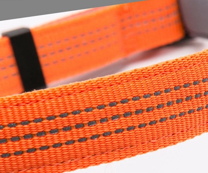 Hundehalsband "NYLON"