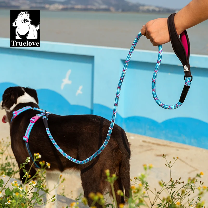 Hundeleine - Strapazierfähiges Nylon mit Reflektoren und Neoprengriff