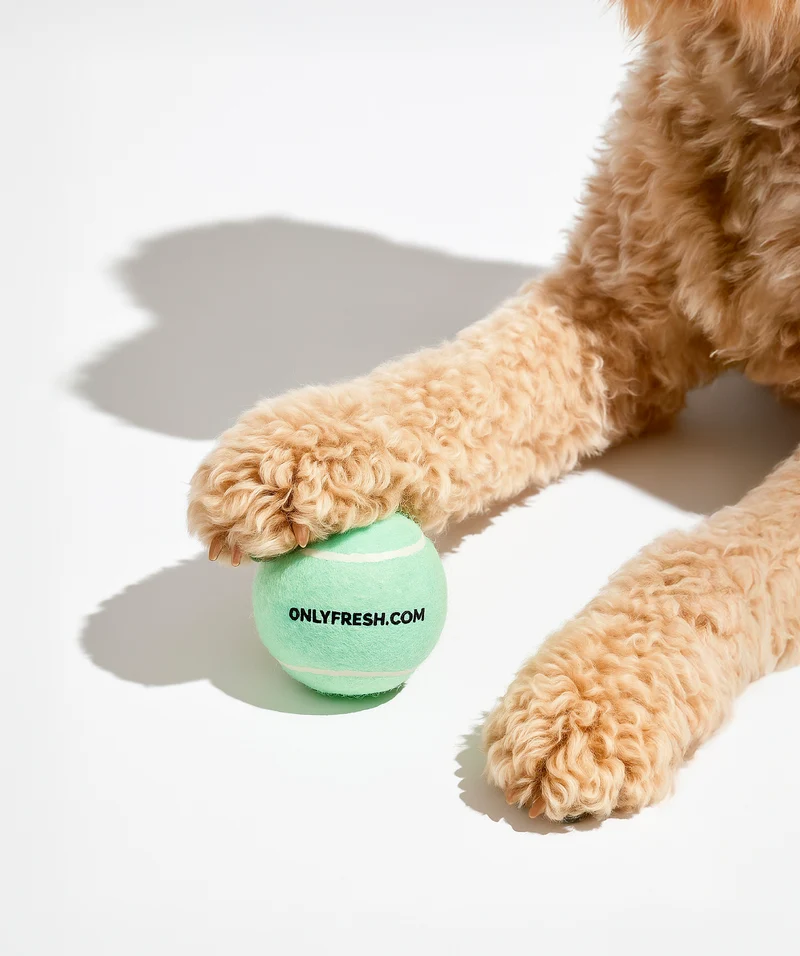 Tennis Balls
