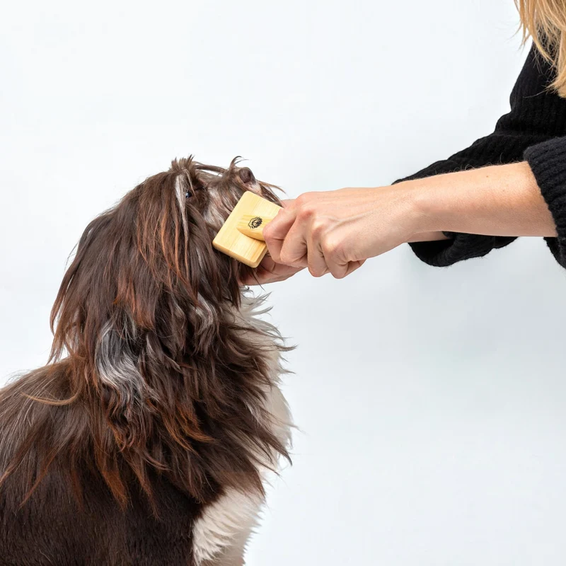 Fluff Fresh Bürste Small