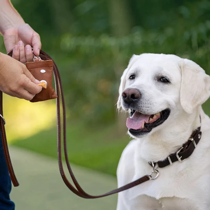 Poo-Bag Lederbeutel