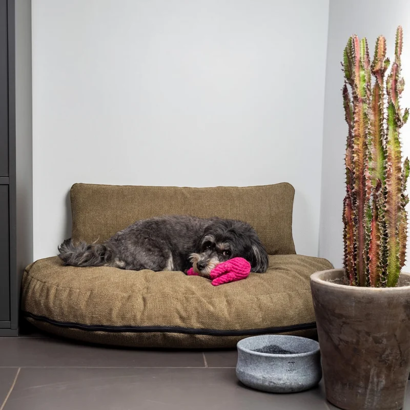 Design Loungekissen
