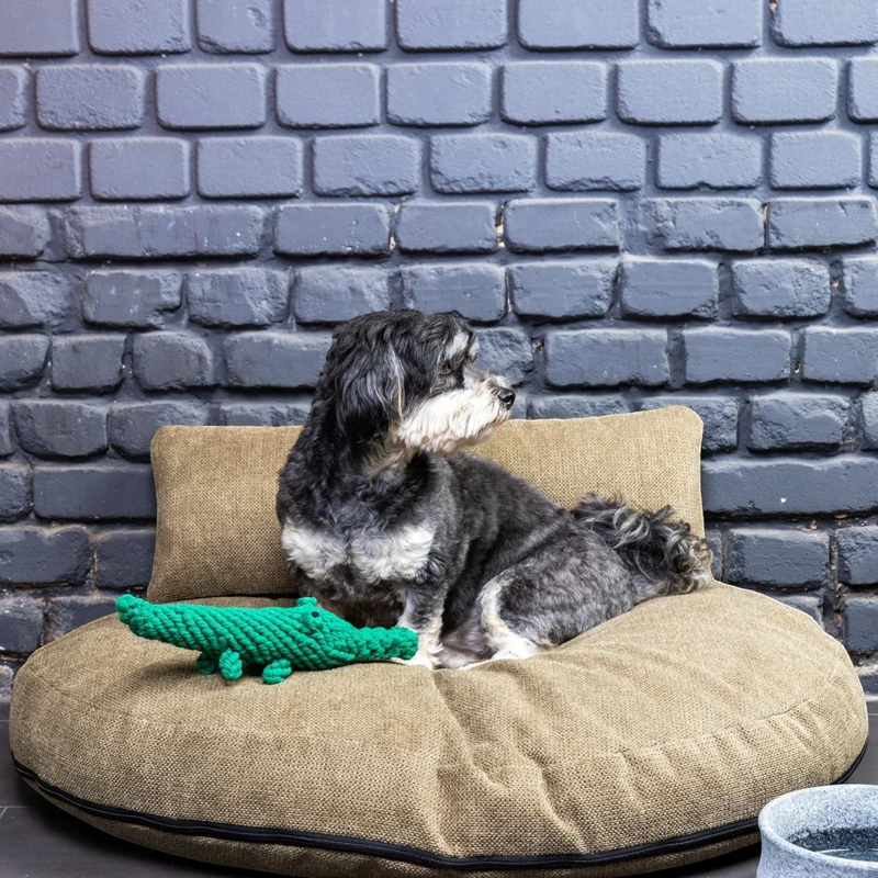 Design Loungekissen
