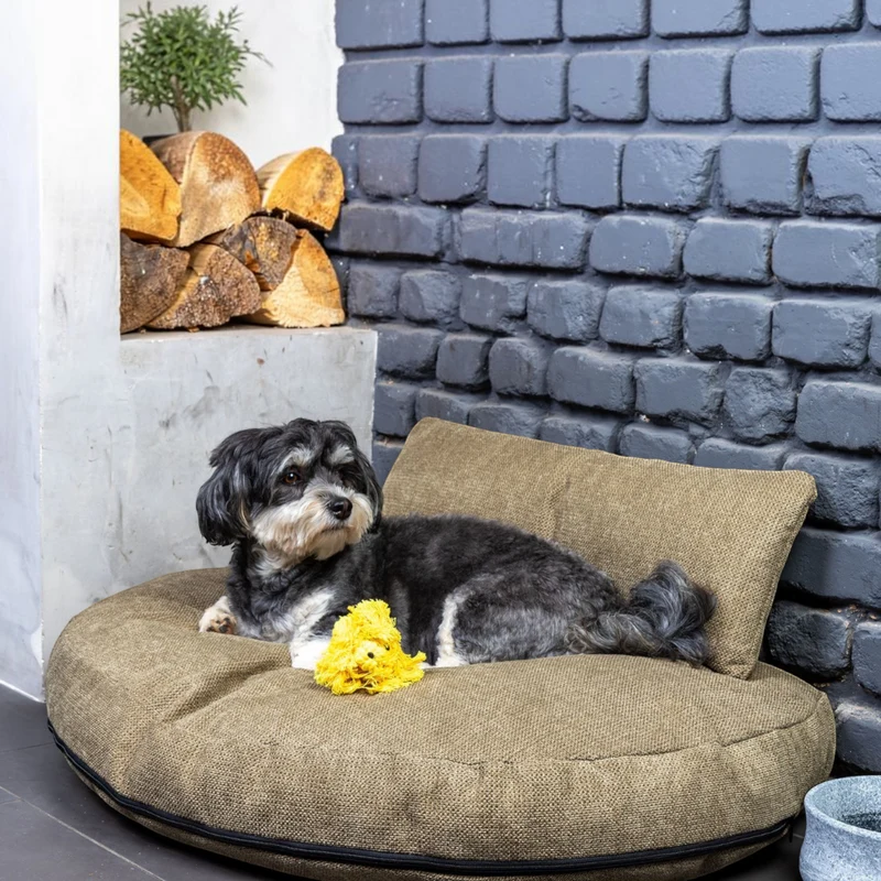 Design Loungekissen