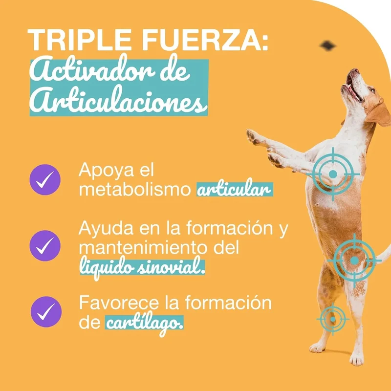 Condroprotetor para cães com glucosamina, condroitina, MSM I para as articulações de cães I anti-inflamatório para cães artrite I 250 g