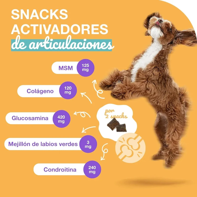 Condroprotetor para cães com glucosamina, condroitina, MSM I para as articulações de cães I anti-inflamatório para cães artrite I 250 g