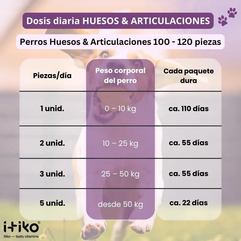 Condroprotetor para cães grandes e pequenos | proteção de ossos e articulações para cães, com mexilhão de lábios verdes, MSM, glucosamina, condroitina e ômega 3 para cães