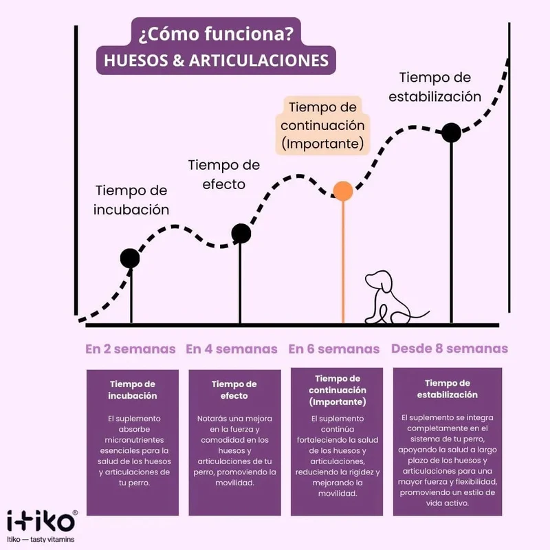 Condroprotetor para cães grandes e pequenos | proteção de ossos e articulações para cães, com mexilhão de lábios verdes, MSM, glucosamina, condroitina e ômega 3 para cães