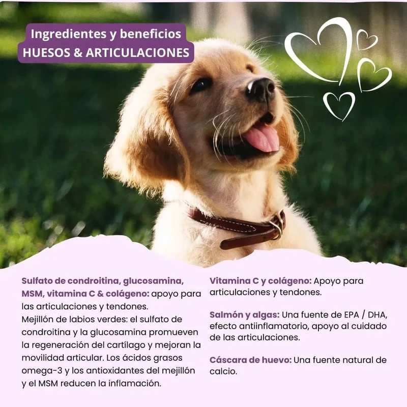 Condroprotetor para cães grandes e pequenos | proteção de ossos e articulações para cães, com mexilhão de lábios verdes, MSM, glucosamina, condroitina e ômega 3 para cães