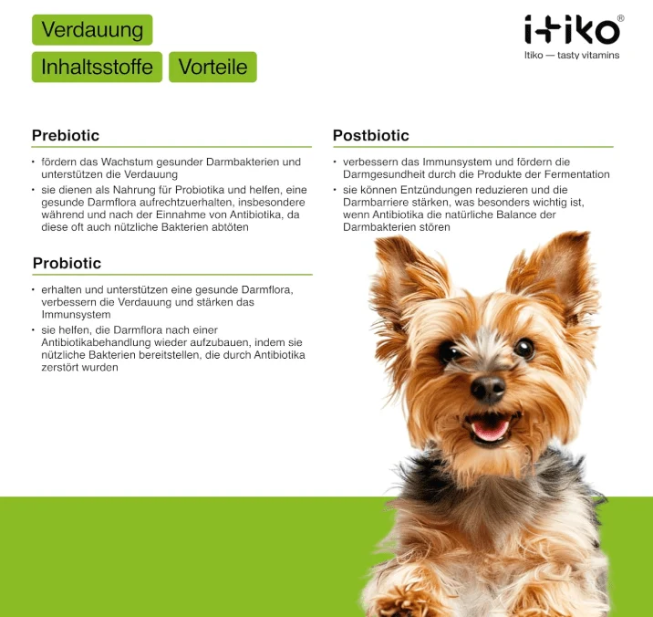 Snacks Probióticos Digestivos para cães - Promove a digestão - Alternativa à argila curativa - Capa de Psyllium - Complemento alimentar para diarreia em cães