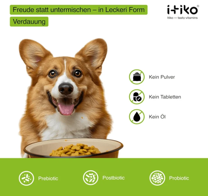 Snacks Probióticos Digestivos para cães - Promove a digestão - Alternativa à argila curativa - Capa de Psyllium - Complemento alimentar para diarreia em cães