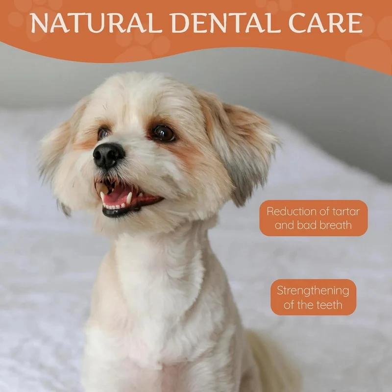 Wildfang - Ossos para mastigar feitos com queijo Churpi do Himalaia - alternativa natural para cães - cuidado dentário e alívio do stress