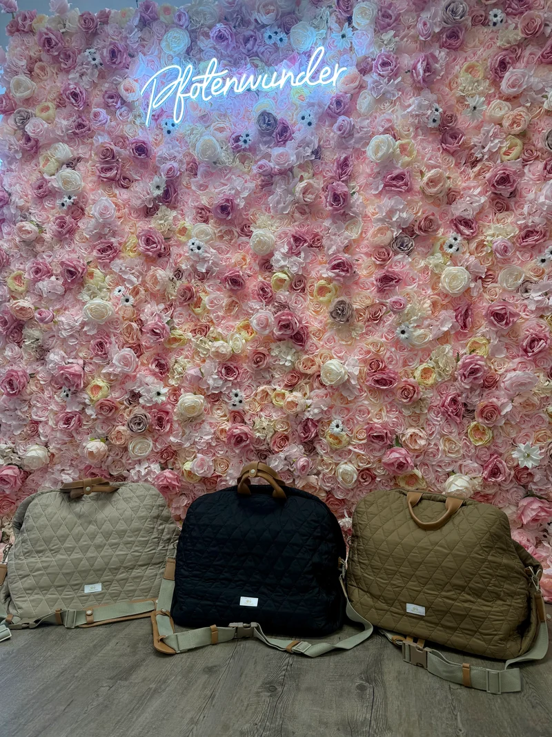 Hundetasche Pfotenwunder
