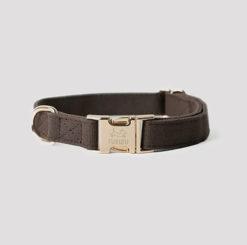 Hundehalsband-Canvas Braun
