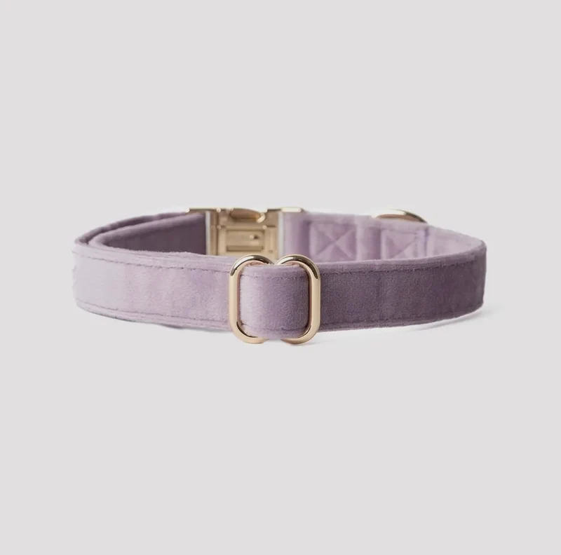 Samt-Hundehalsband Flieder