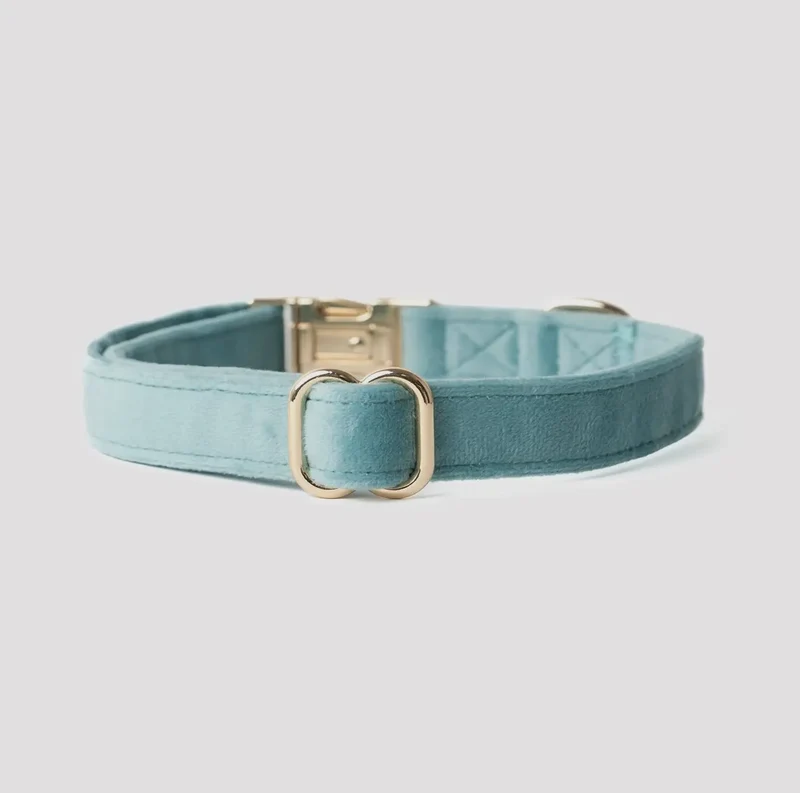 Samt-Hundehalsband Blau
