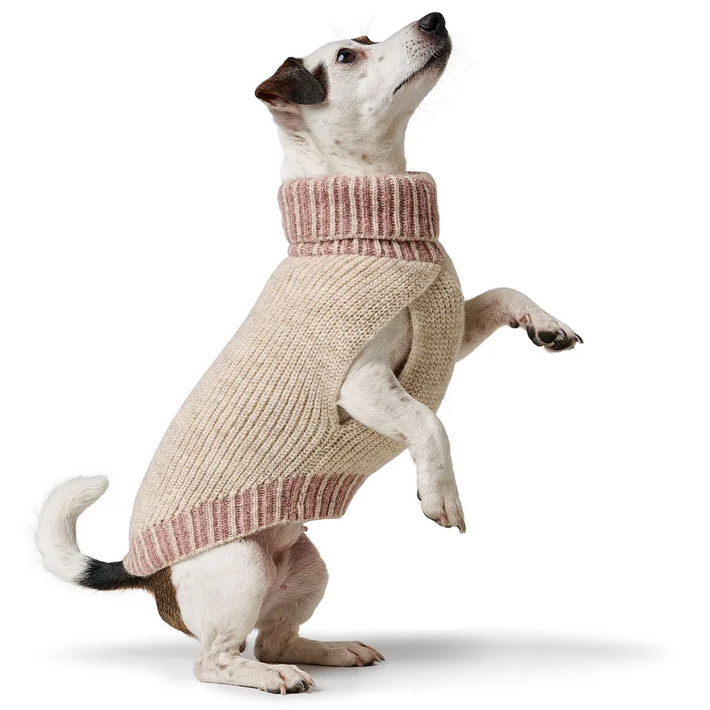 Hundepullover Odense mit Mütze Set creme/rosa
