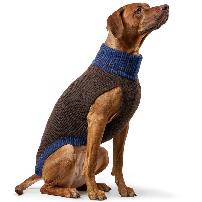 Hundepullover Odense mit Mütze Set braun/blau