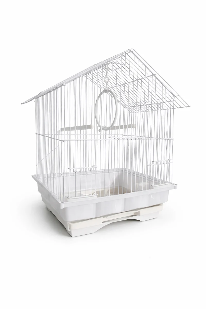 Vogelkäfigartiges Schrägdach