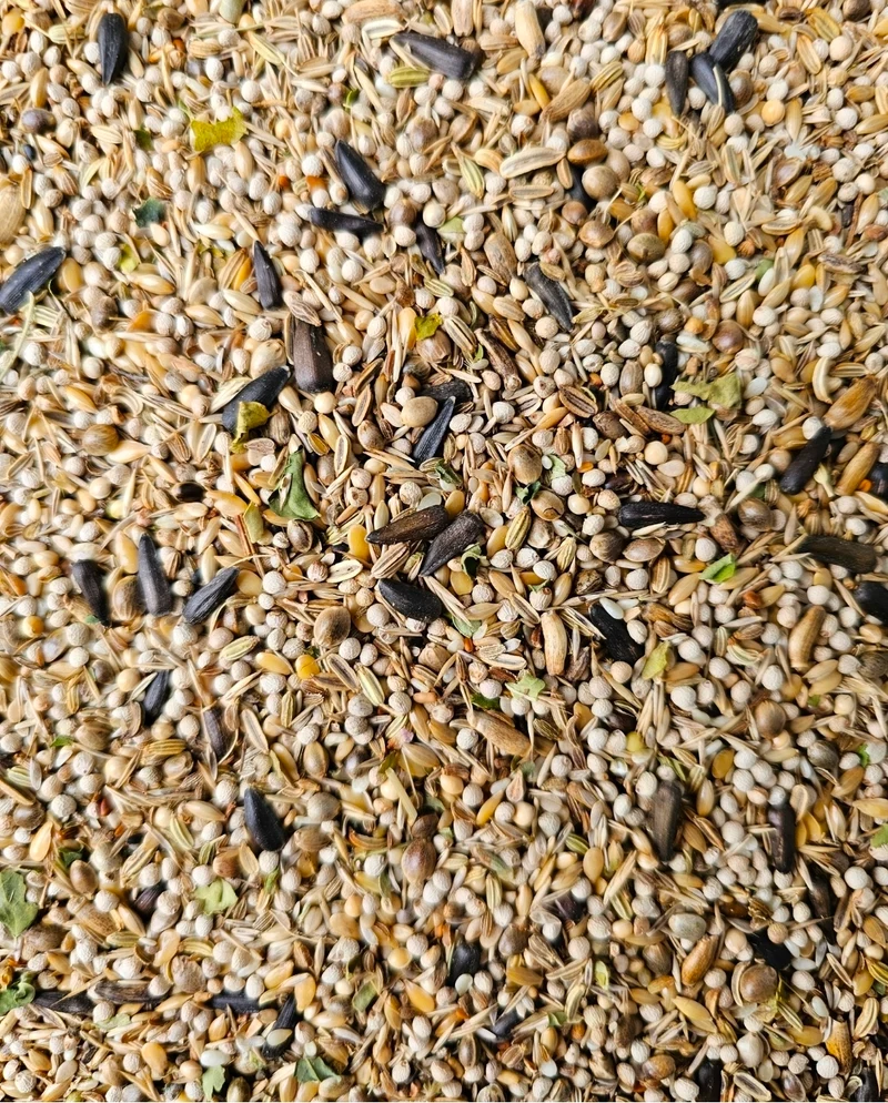 Carduelis-Samenmischung 5 kg (selbstverpackt) - Kräuter-Vogelfuttermischung