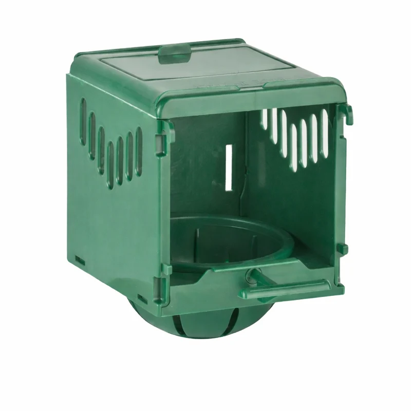 Dream Nest Box Grün 2 g 10 cm