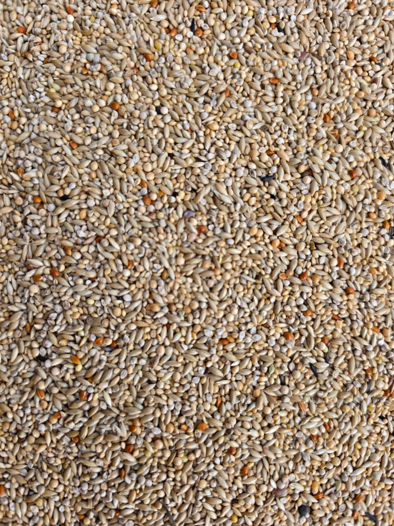Prestige Tropenvögel 20kg - Versele Laga
