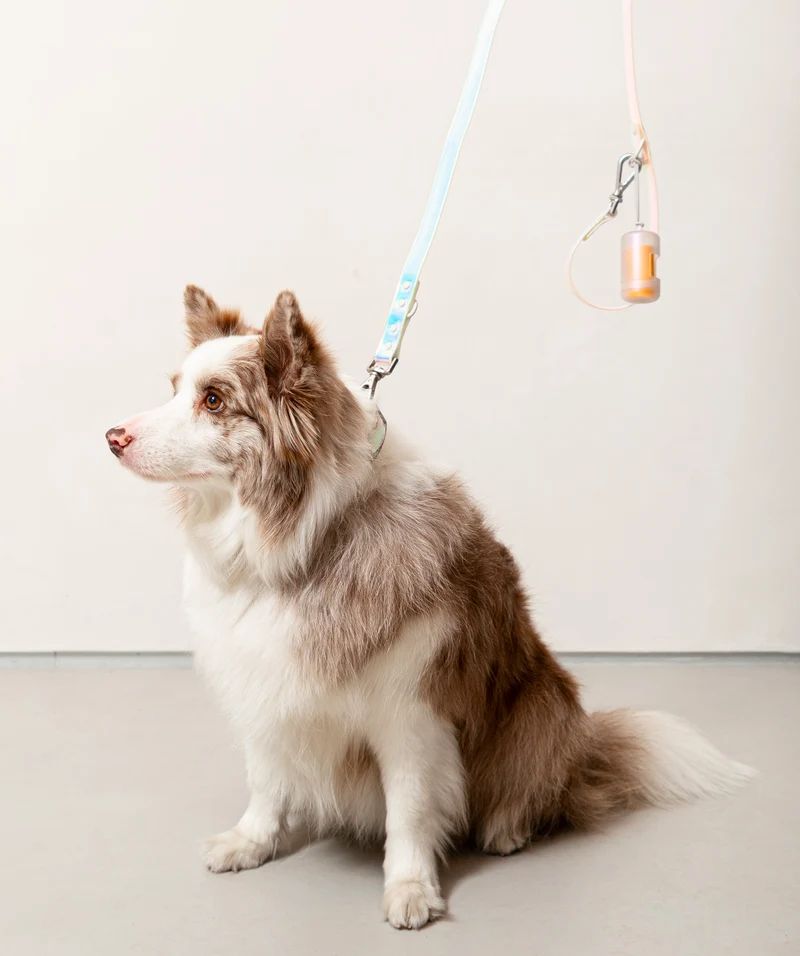 Smart Dog Leash - Lunar