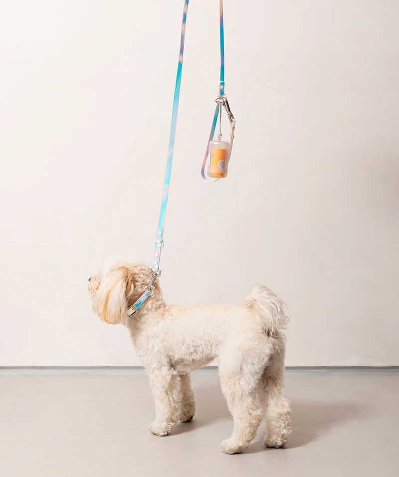 Smart Dog Leash - Lunar