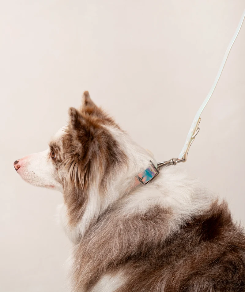 Smart Dog Leash - Lunar