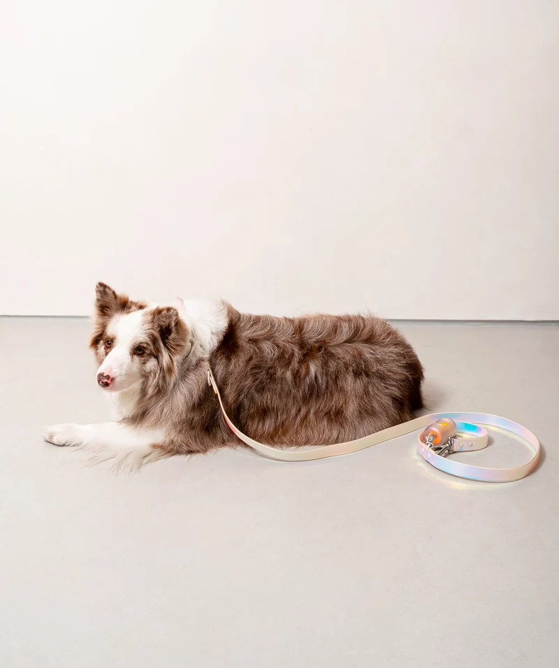 Smart Dog Leash - Lunar