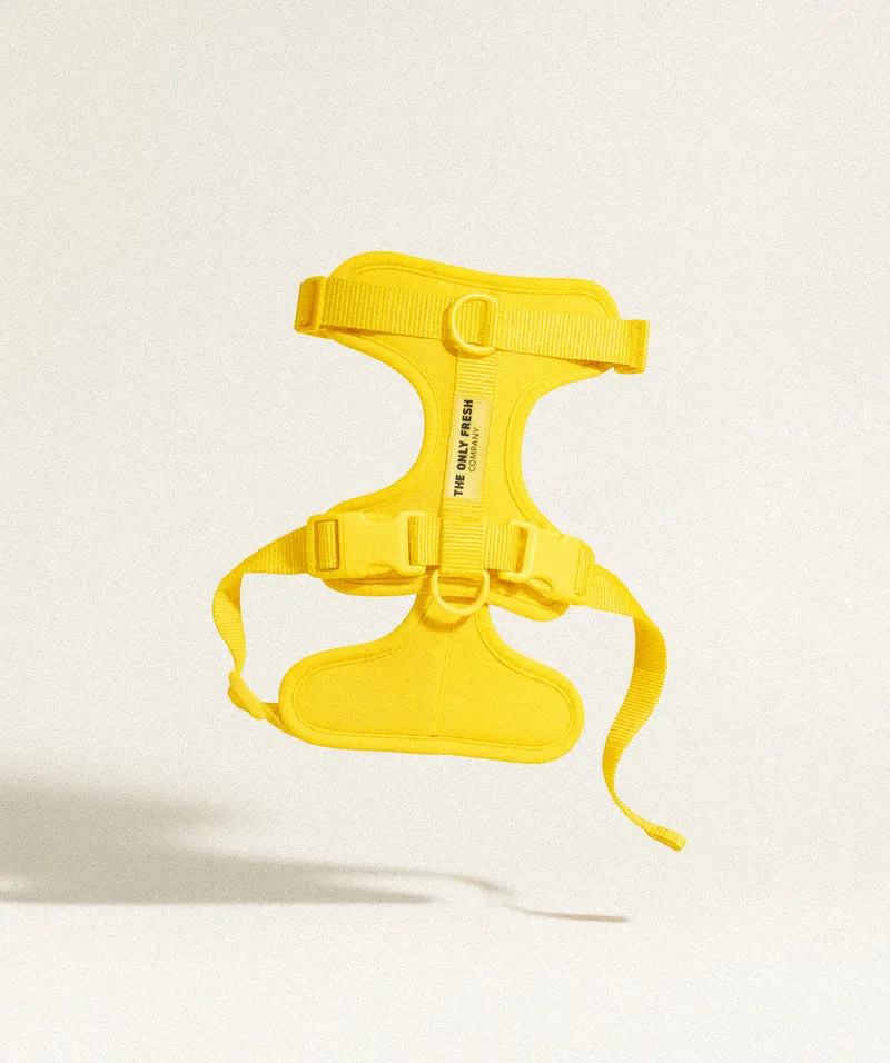 Smart Harness - Yellow