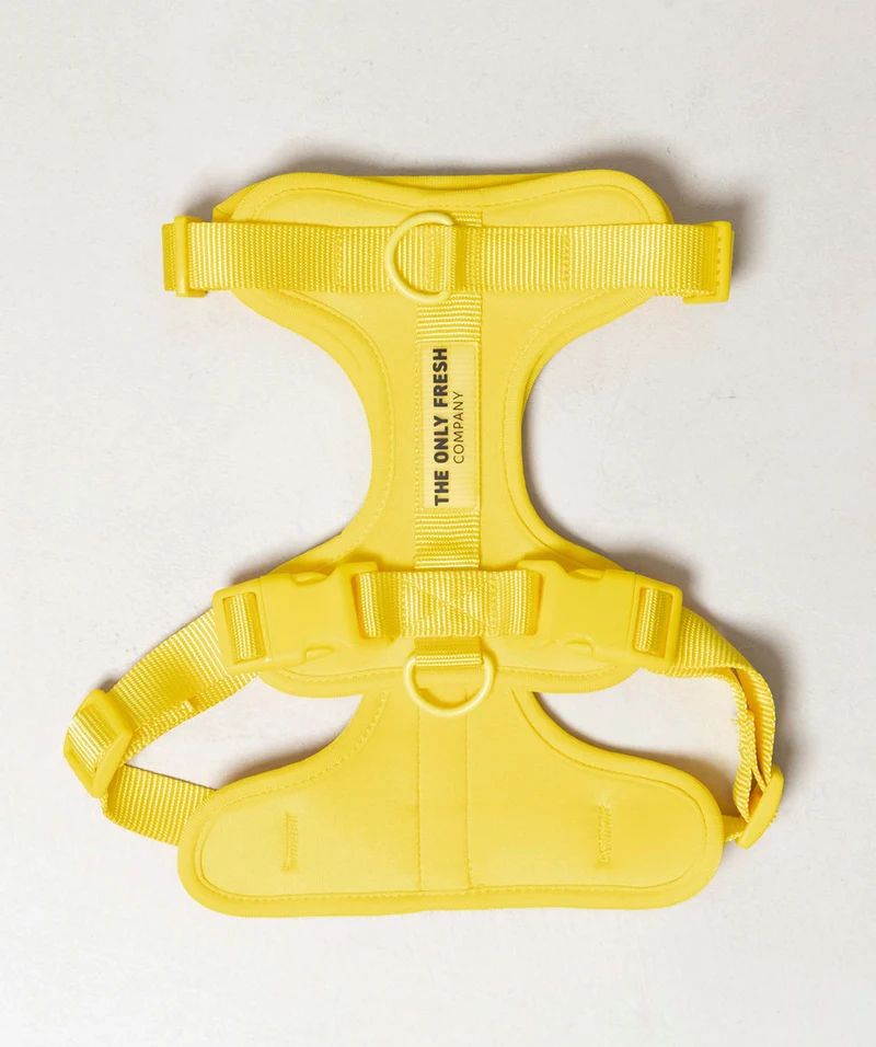 Smart Harness - Yellow