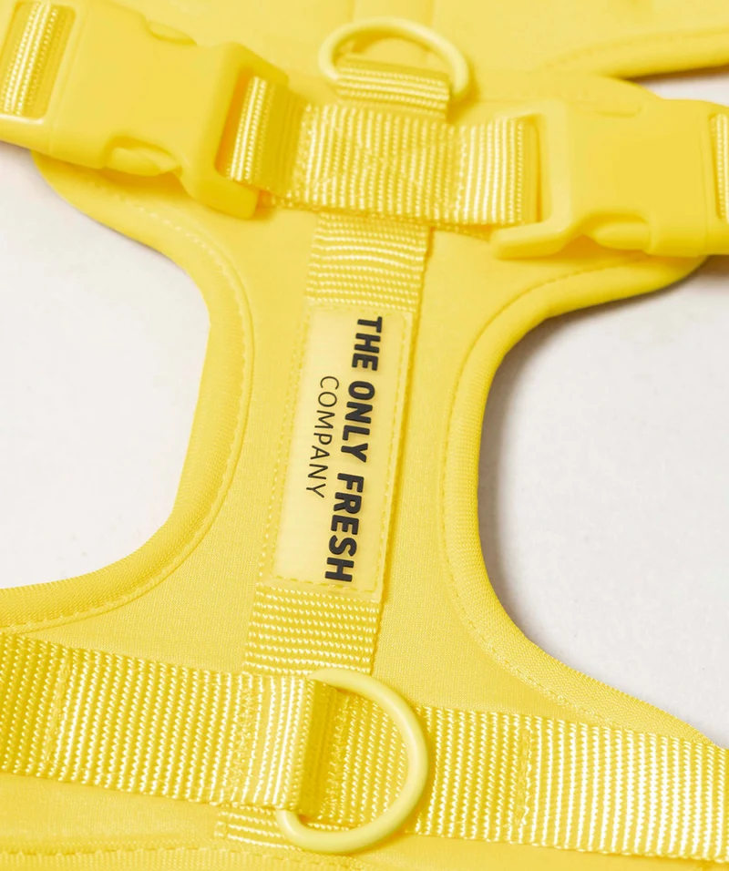 Smart Harness - Yellow