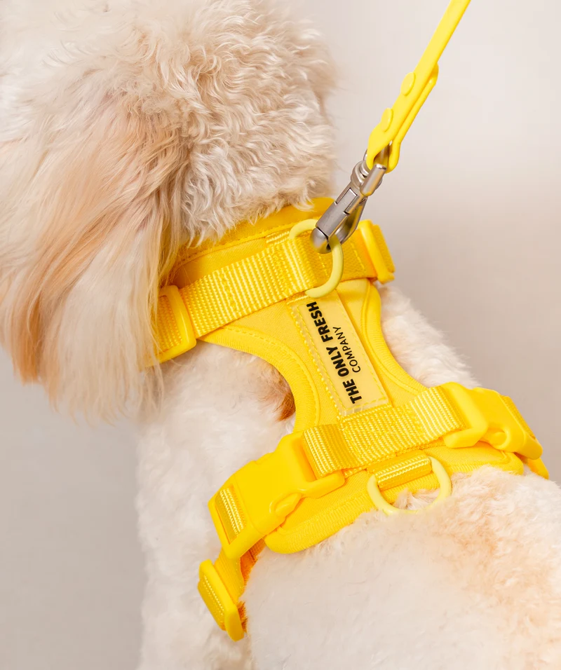 Smart Harness - Yellow