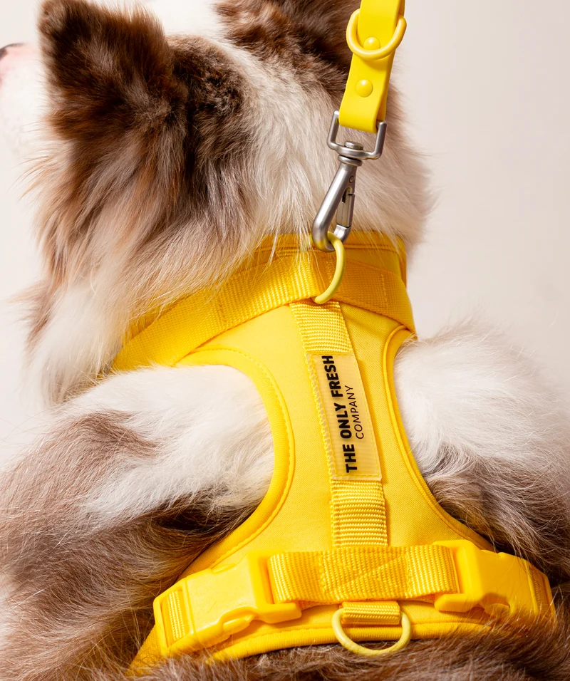 Smart Harness - Yellow