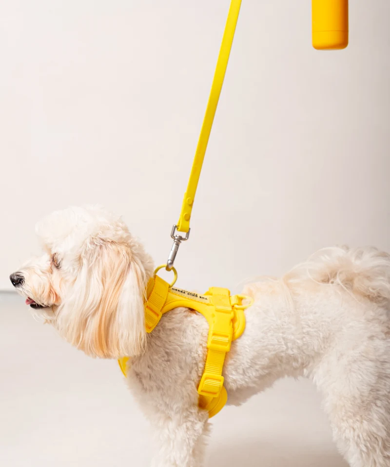 Smart Harness - Yellow