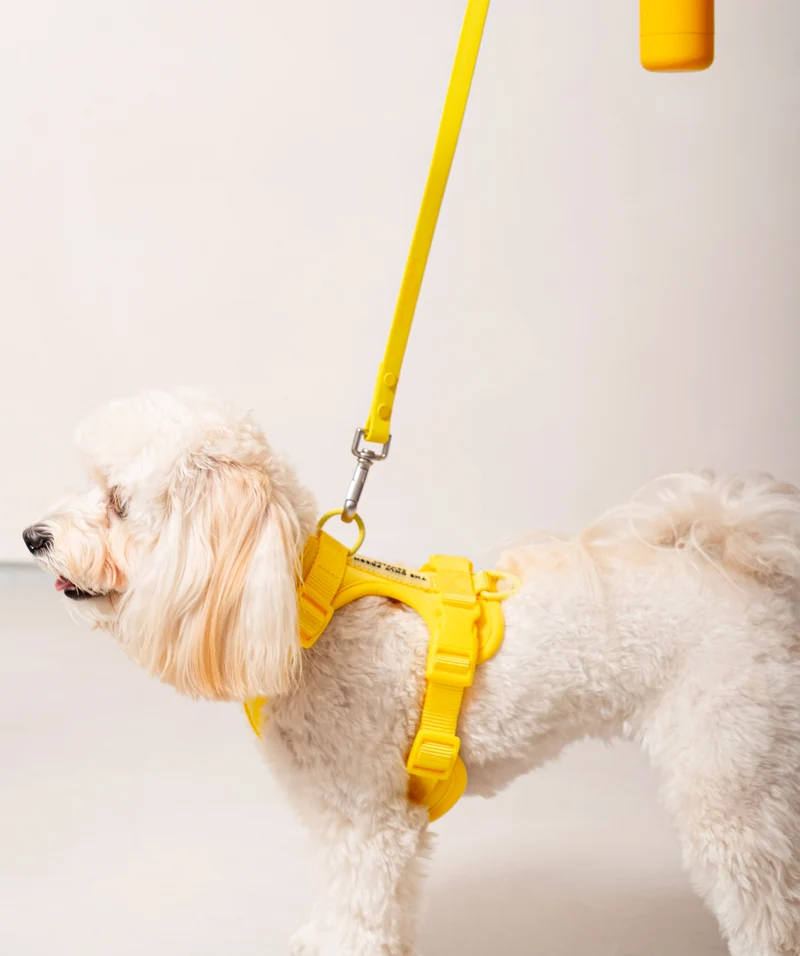 Smart Dog Leash - Yellow