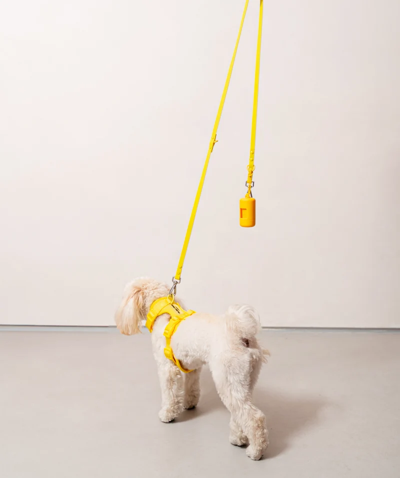 Smart Dog Leash - Yellow