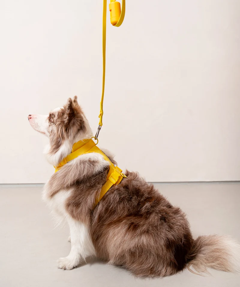 Smart Dog Leash - Yellow
