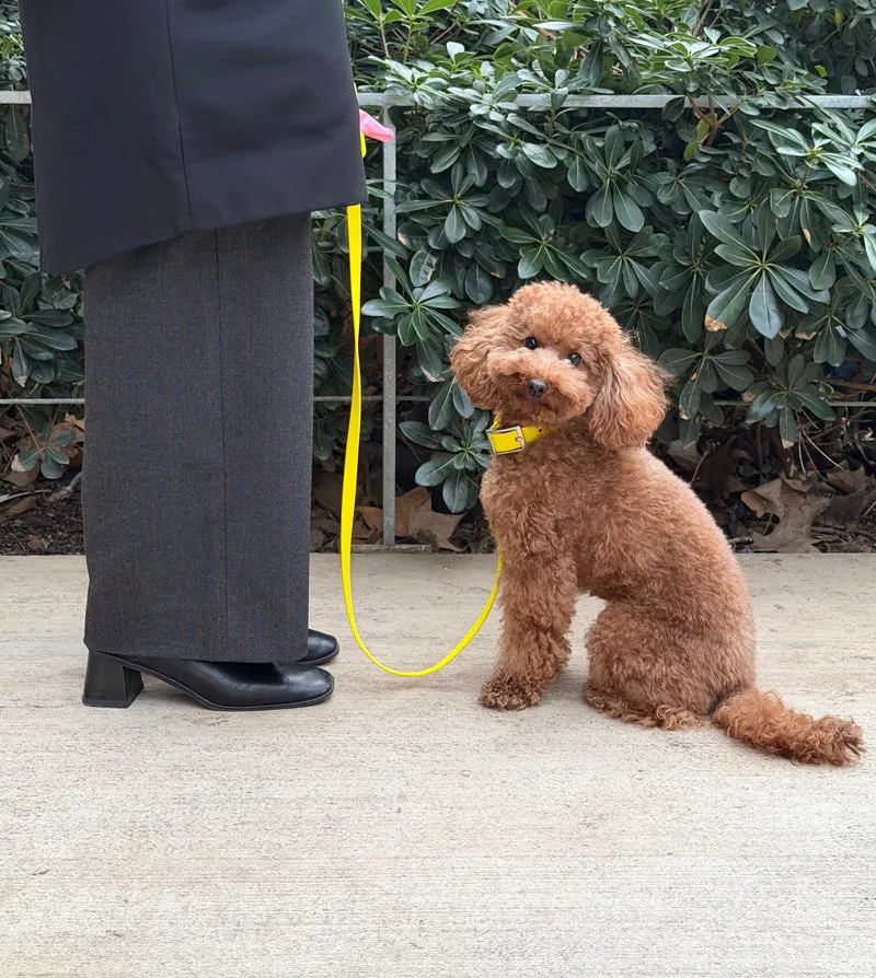 Smart Dog Leash - Yellow