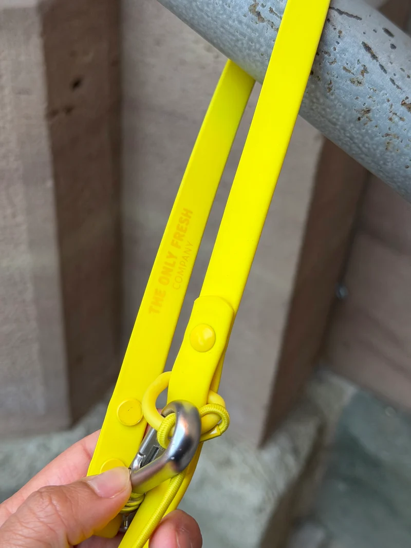 Smart Dog Leash - Yellow