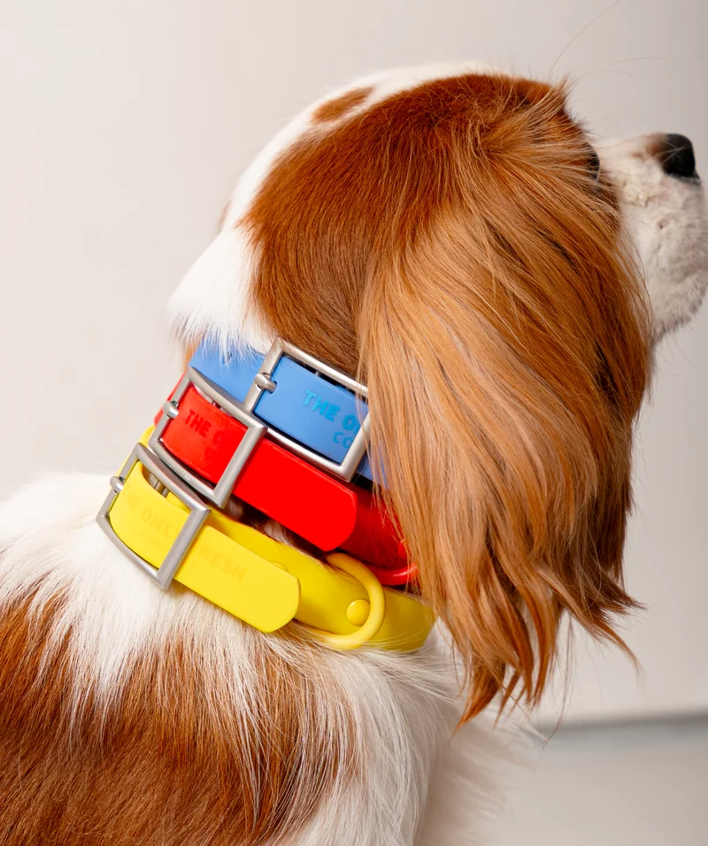 Smart Dog Collar - Multicolor