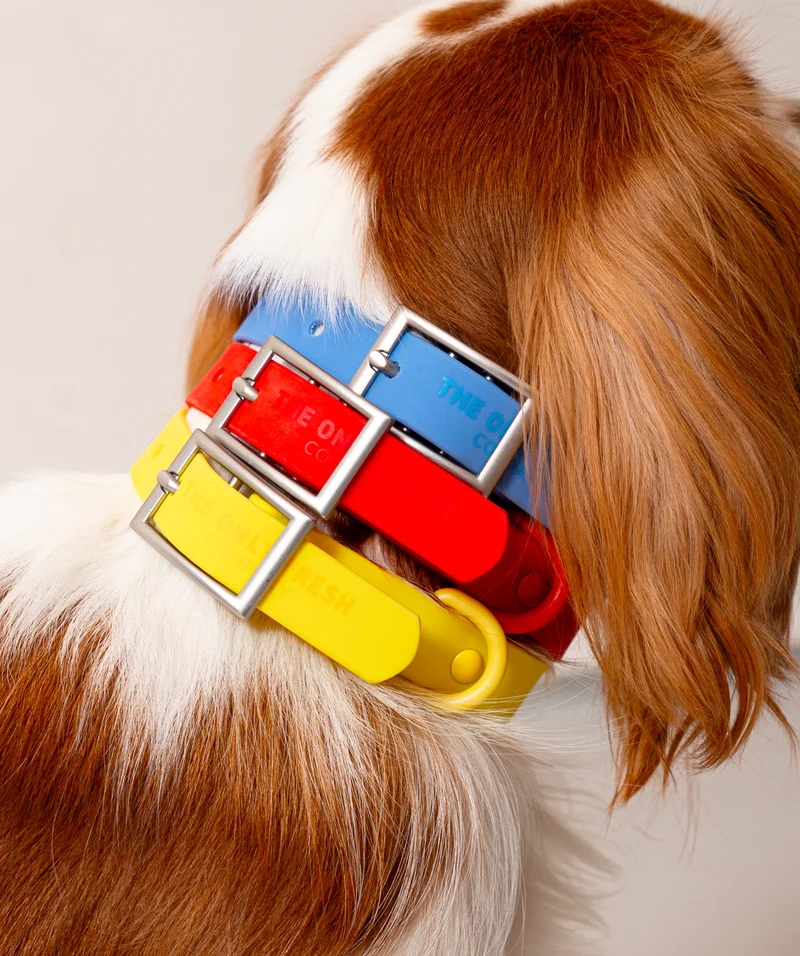 Smart Dog Collar - Multicolor