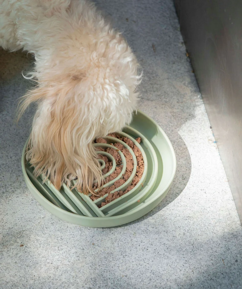 Slow Feeder For Pets